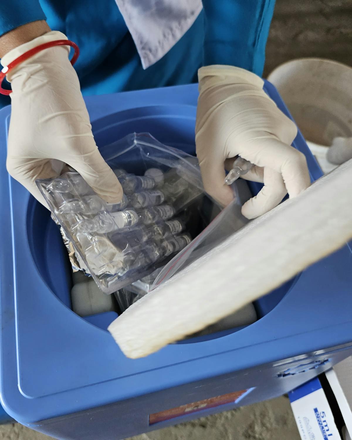 Gloved hands placing a tray of vials into an insulated shipping box